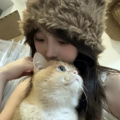 追夫四人行