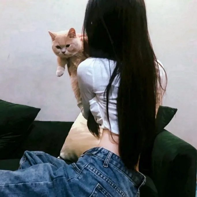 夫妻财产